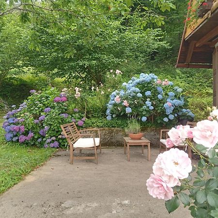 Holiday Home Vesna Brod na Kupi Екстериор снимка