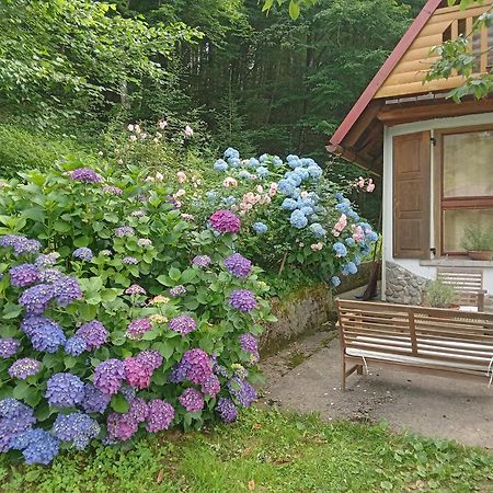 Holiday Home Vesna Brod na Kupi Екстериор снимка