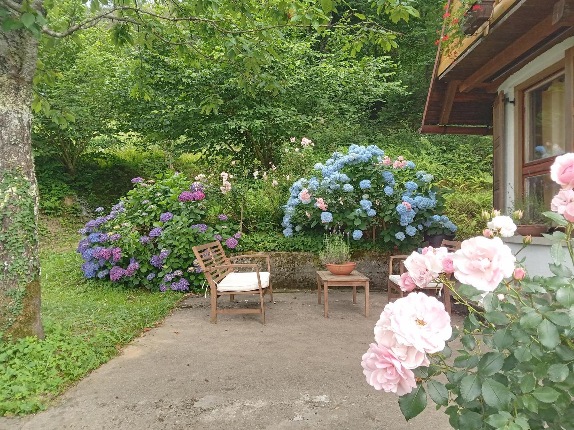 Holiday Home Vesna Brod na Kupi Екстериор снимка