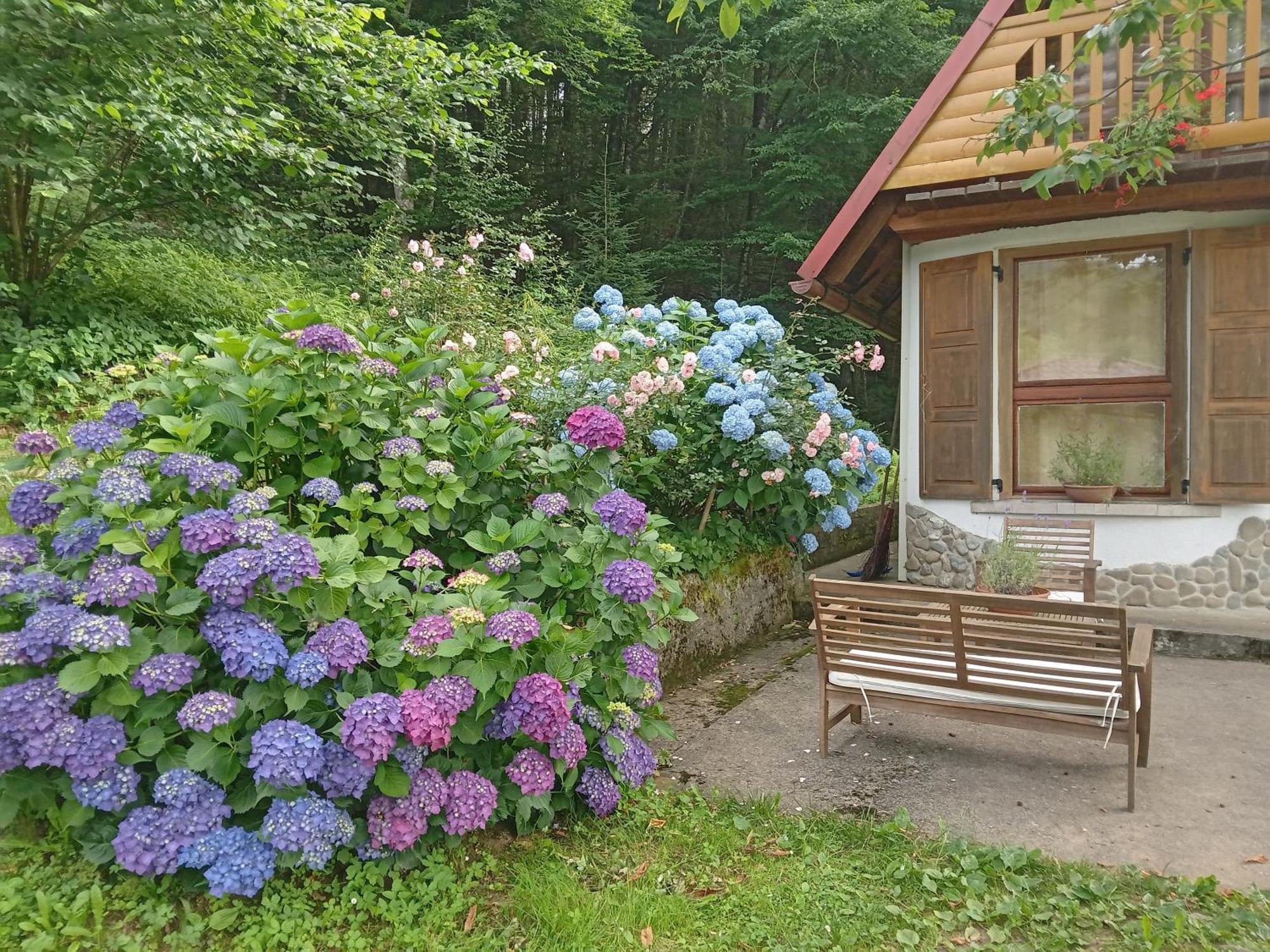 Holiday Home Vesna Brod na Kupi Екстериор снимка