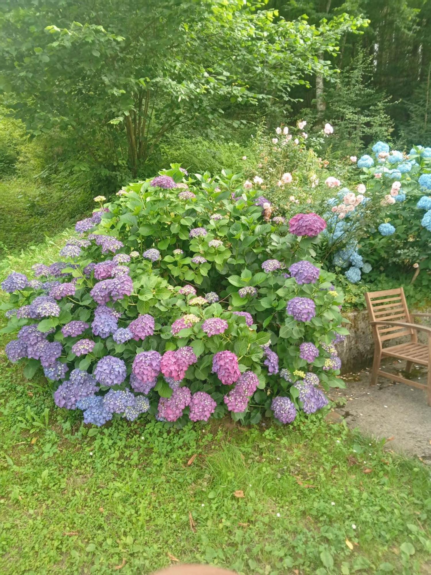 Holiday Home Vesna Brod na Kupi Екстериор снимка