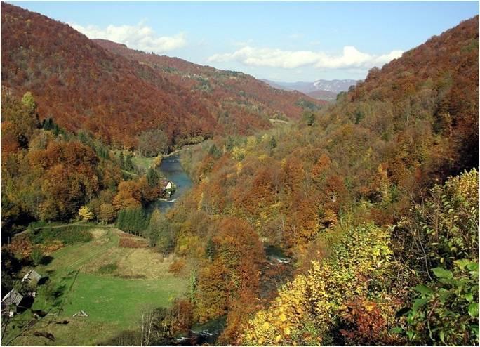 Holiday Home Vesna Brod na Kupi Екстериор снимка