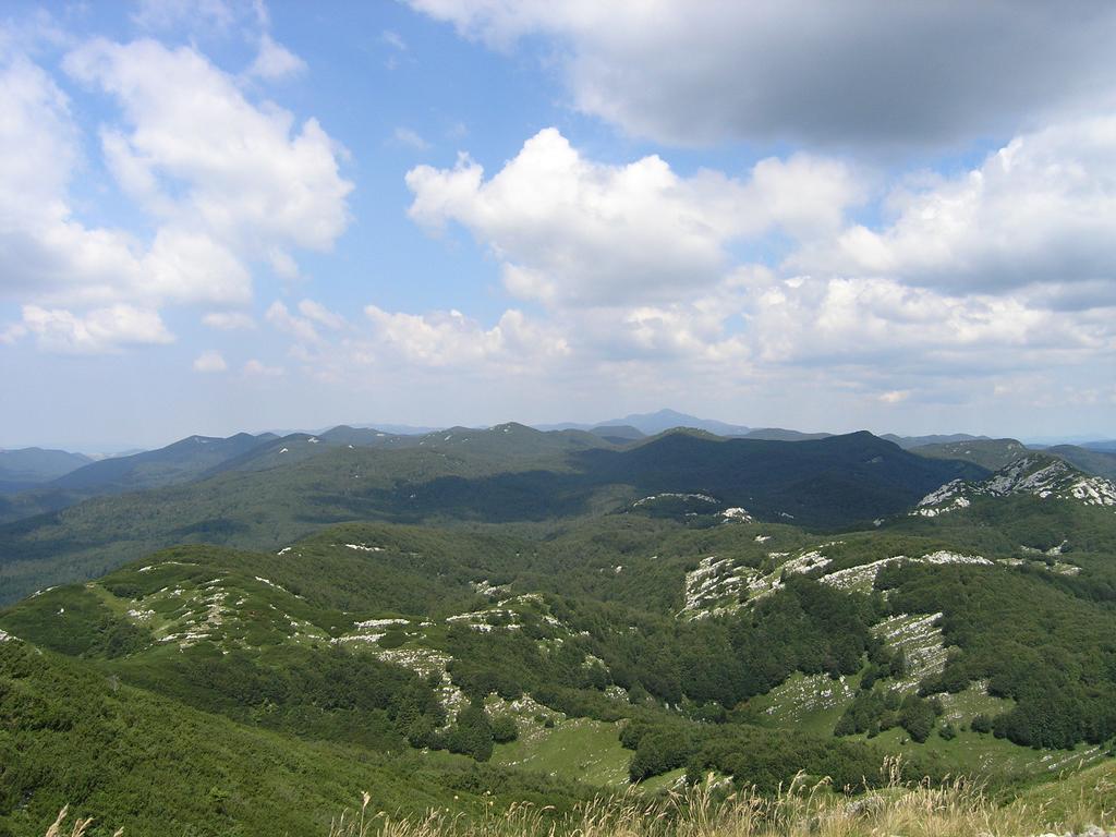 Holiday Home Vesna Brod na Kupi Екстериор снимка