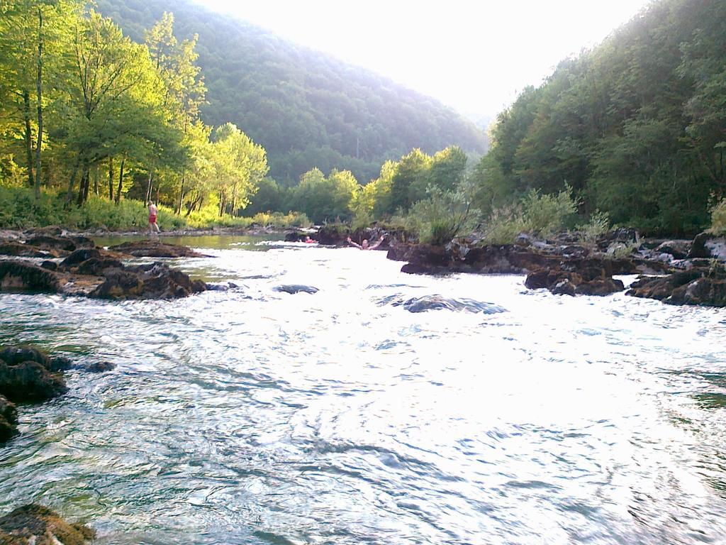 Holiday Home Vesna Brod na Kupi Стая снимка