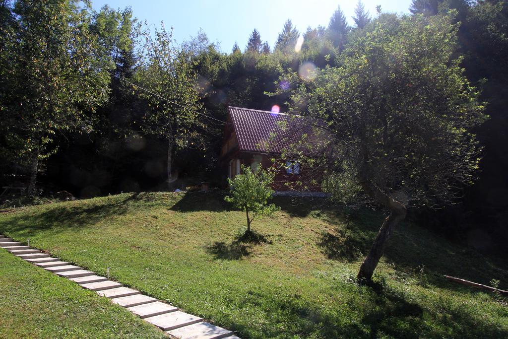 Holiday Home Vesna Brod na Kupi Стая снимка