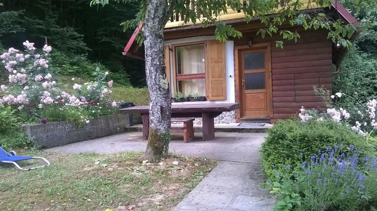 Holiday Home Vesna Brod na Kupi Екстериор снимка